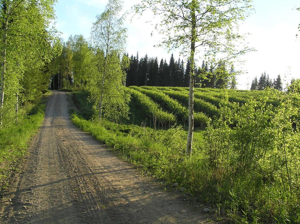 Huvilaranta Villas Isojärvi Szoba fotó