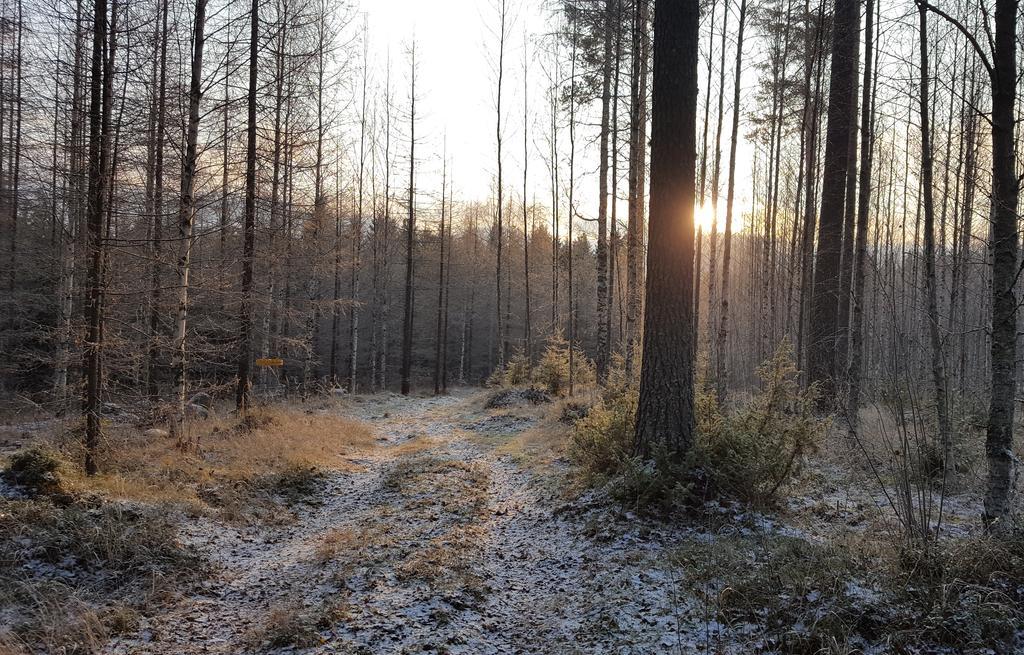 Huvilaranta Villas Isojärvi Kültér fotó